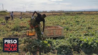 Inside African migrants fight against slavelike conditions in Italy [upl. by Irina]