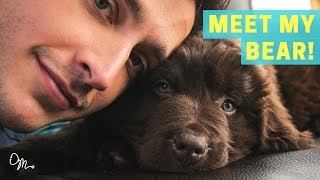 MEET MY BEAR PUPPY  Health Benefits of Having a Dog  Doctor Mike [upl. by Nivlag]