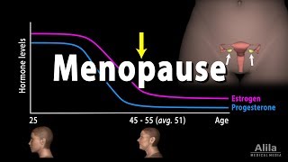 Menopause Perimenopause Symptoms and Management Animation [upl. by Montagu]