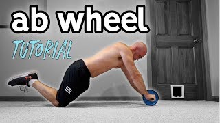 Ab Wheel For Beginners  Rollout Progression and Extra Exercises [upl. by Ranzini675]