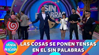 Las cosas se ponen tensas en el Sin Palabras  Programa 18 diciembre 2024 PARTE 2  Venga la Alegría [upl. by Vahe584]