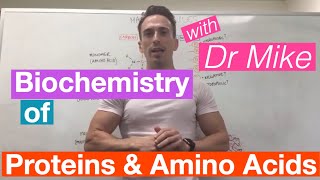 Proteins amp Amino Acids  Biochemistry [upl. by Yerga]