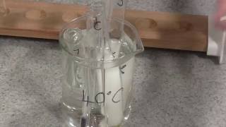 Enzyme Rate of Reaction Trypsin [upl. by Cletis]