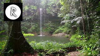 10 Hrs Rainforest amp Rain for Relaxing Nature Sounds for Sleep Meditation Insomnia SPA Study [upl. by Atilek]