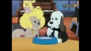 Pound Puppies Episode 10 Wagga Wagga [upl. by Leugimesoj207]