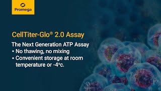 CellTiter Glo® 2 0 Cell Viability Assay [upl. by Sawyere]