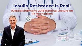 Insulin Resistance is Real Gerald Shulmans 2018 Banting Lecture on IR Mechanism [upl. by Elinor722]