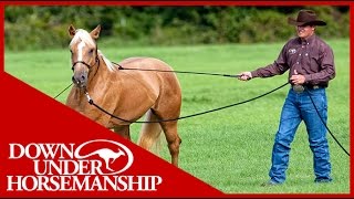 Clinton Anderson Training a Rescue Horse Part 1  Downunder Horsemanship [upl. by Uyerta576]