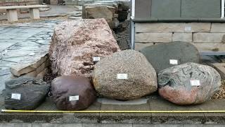 How heavy are landscape BOULDERS and how do I figure coverage [upl. by Zysk316]