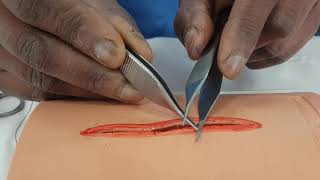 Forceps and Scissors Handling [upl. by Dobbins]