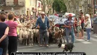 04  PROVENCE  Folklore Farandole et Fêtes provençales [upl. by Dayiz967]