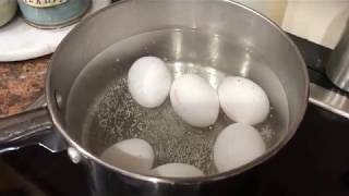 How to Cook Perfect Hard Boiled Eggs [upl. by Anrapa]