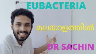 eubacteria class 11  malayalam  chapter 2 biological classification NEET malayalam [upl. by Assirak]