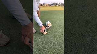 New Greenskeeper Training [upl. by Viviana]