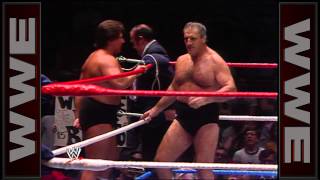 Bruno and David Sammartino vs Brutus Beefcake and Johnny V Madison Square Garden May 20 1985 [upl. by Onaicilef680]