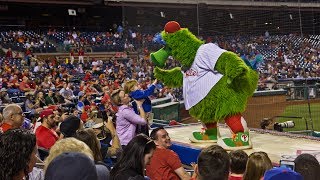 Who is the Phillie Phanatic [upl. by Boothman637]