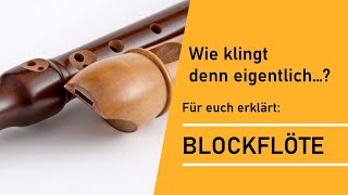 Instrumentenvorstellung Blockflöte [upl. by Airdnal]