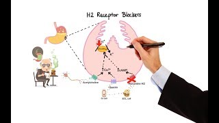 Pharmacology  ANTIHISTAMINES MADE EASY [upl. by Nialb]