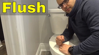 How To Flush A Toilet PROPERLYEasy Tutorial [upl. by Mufinella]