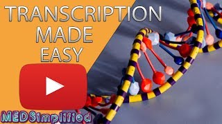 Transcription Made Easy From DNA to RNA 2019 [upl. by Aissatsana203]