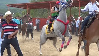 CARRERAS DE CABALLOSFINAL FUTURITY LA LUMBRE [upl. by Dukie]