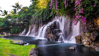 Relaxing Zen Music with Water Sounds • Peaceful Ambience for Spa Yoga and Relaxation [upl. by Sandeep943]