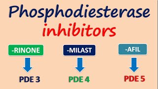 Phosphodiesterase inhibitors [upl. by Ailegra]