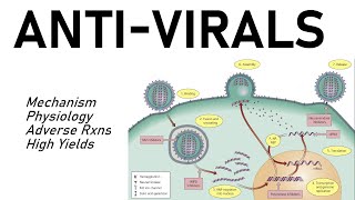 Antiviral Pharmacology [upl. by Kumagai]