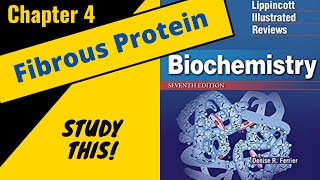 Lippincotts Biochemistry Review Chapter 4 Fibrous Proteins  Study This [upl. by Otho]