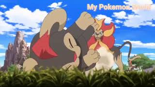 Pyroar Pokedex Entry Pokemon xy [upl. by Dnalel]