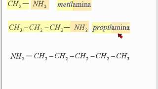 Compuestos Nitrogenados Aminas [upl. by Cronin342]