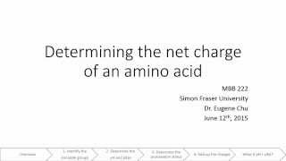 Charge of an amino acid [upl. by Nelle]