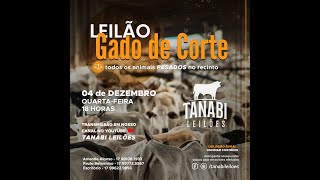 Tanabi Leilões  AO VIVO  04122024 [upl. by Viscardi]