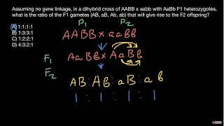 Genotypes and phenotypes ratios explained [upl. by Desireah]