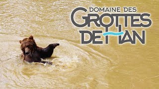 DOMAINE DES GROTTES DE HAN Belgique [upl. by Amathist880]