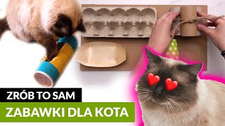 4 ZABAWKI DLA KOTA DIY 😻 [upl. by Ohce410]