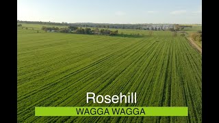 Rosehill  Wagga Wagga [upl. by Ange]