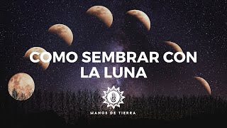 Como Sembrar Con LA LUNA 2024 cultivar con fases lunares calendario lunar [upl. by Atiuqan955]