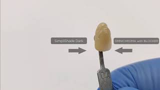 SimpliShade™ vs OMNICHROMA® Video [upl. by Eeslek]