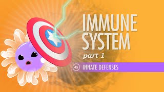 Immune System Part 1 Crash Course Anatomy amp Physiology 45 [upl. by Aitnwahs]