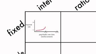 Learning Schedules of Reinforcement [upl. by Wetzel]