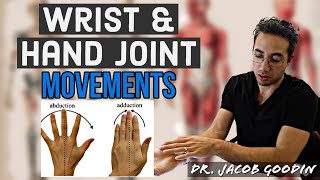 Wrist amp Hand Anatomy Joint Movements [upl. by Benedetta]