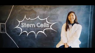 What Are Stem Cells [upl. by Nnylirret432]