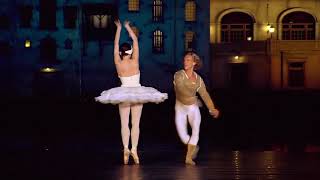 Moderato From Swanlake  André Rieu [upl. by Atlanta]