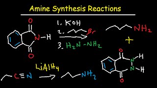 Amine Synthesis Reactions Organic Chemistry  Summary amp Practice Problems [upl. by Akinar814]