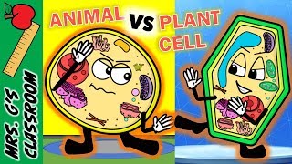 WHAT IS THE DIFFERENCE BETWEEN PLANT AND ANIMAL CELL [upl. by Lili559]