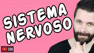 SISTEMA NERVOSO  FISIOLOGIA  Aula  Biologia com Samuel Cunha [upl. by Aikaz]