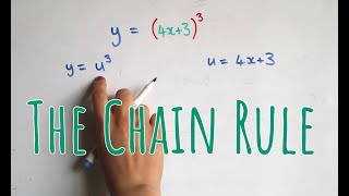 The Chain Rule for Differentiation [upl. by Annayek109]