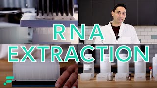 RNA Extraction Demonstration [upl. by Benil]