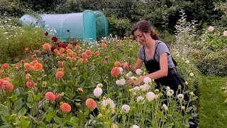 August Allotment Garden Tour 2023 [upl. by Saticilef822]